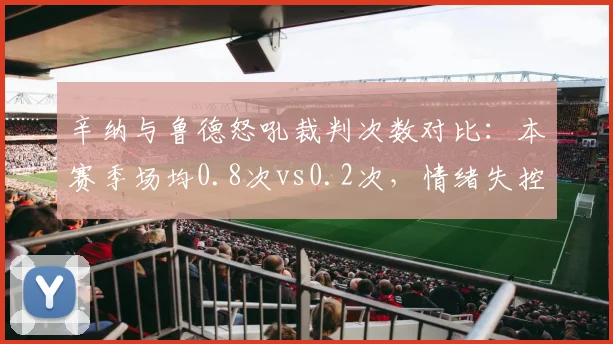 辛纳与鲁德怒吼裁判次数对比：本赛季场均0.8次vs0.2次，情绪失控数据翻倍